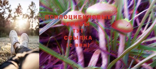спайс Магас
