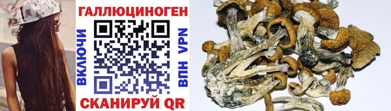 Купить закладки Набережные Челны Галлюциногенные грибы мицелий